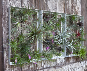 rectangleairplant